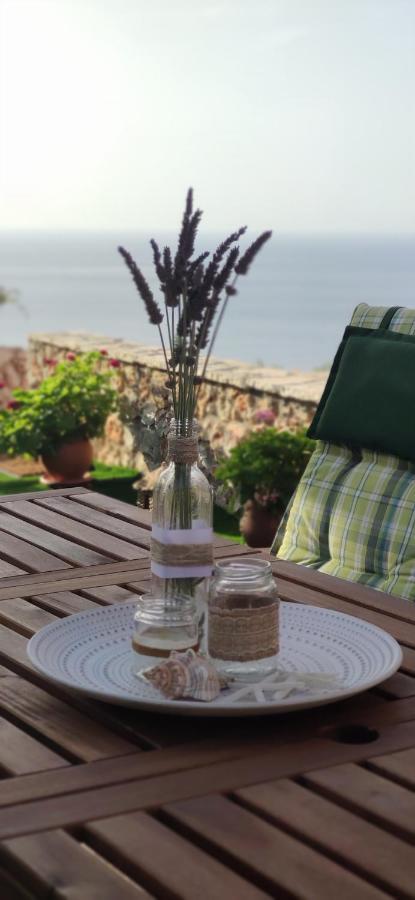 Villa Nereid Glafki - Enjoy Summer Sunsets Áyios Nikítas 外观 照片